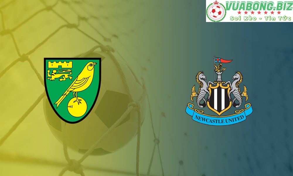 Soi Kèo Norwich vs Newcastle United, 18H00 – 19/03/2022, VĐQG ANH