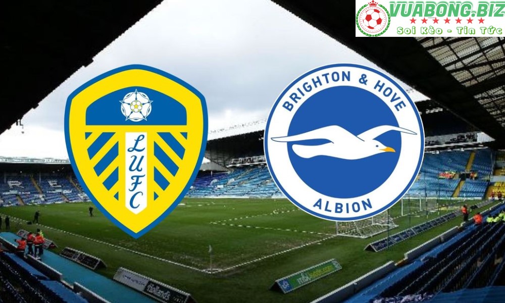 Soi Kèo Leeds vs Brighton, 20H00 – 15/05/2022, VĐQG ANH