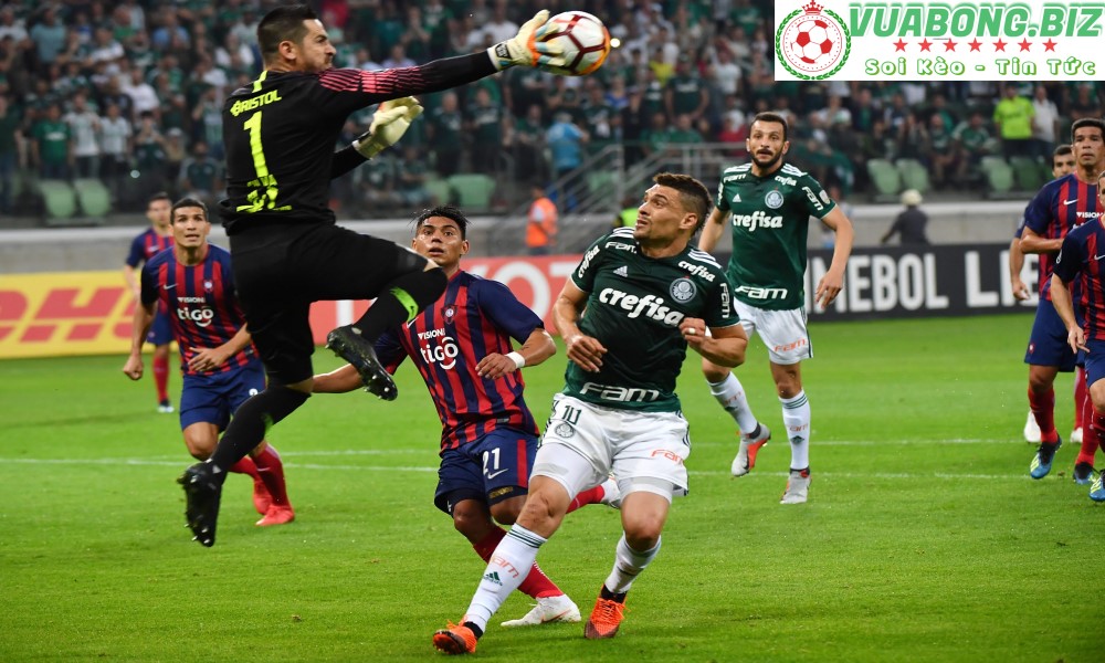 Soi Kèo Cerro Porteno vs Palmeiras, 05h15 ngày 30/6/2022, Copa Libertadores