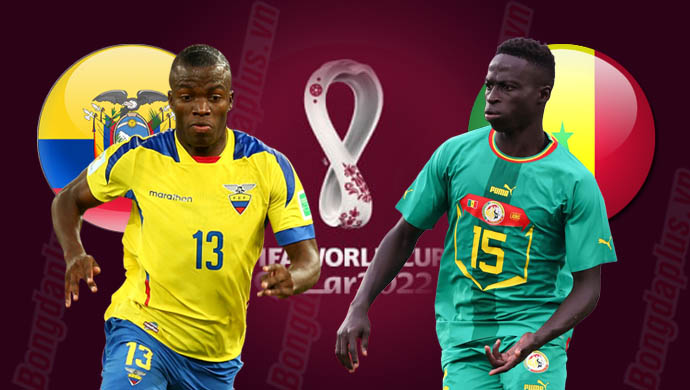 Soi Kèo Ecuador vs Senegal, 22h00 ngày 29/11: Chiến thắng cho Nam mỹ