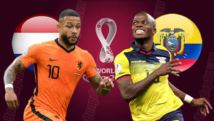 Soi Kèo Hà Lan vs Ecuador, 23h00 ngày 25/11: Cơn lốc màu da cam