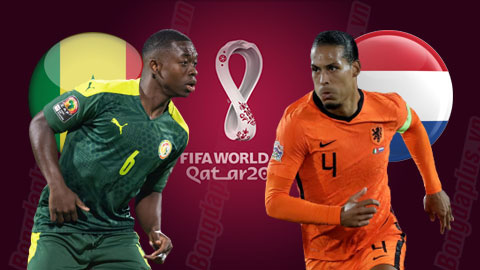 Soi Kèo Senegal vs Hà Lan, 23h00 ngày 21/11: Cơn lốc màu da cam