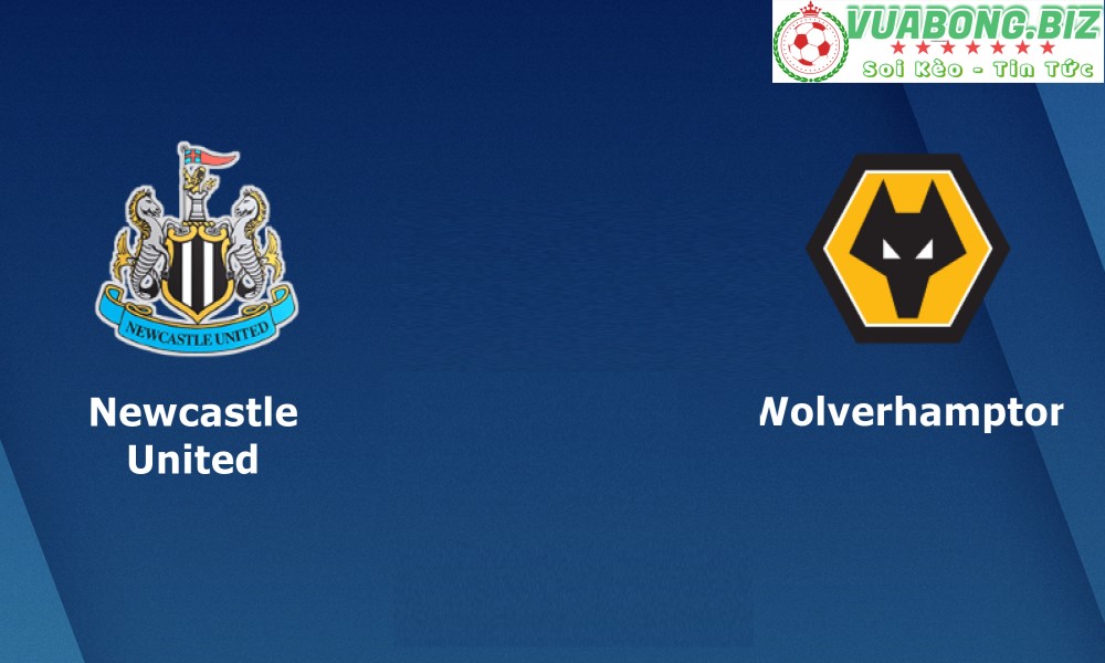 Soi Kèo Newcastle vs Wolverhampton, 23h30 ngày 12/3/2023, VĐQG ANH