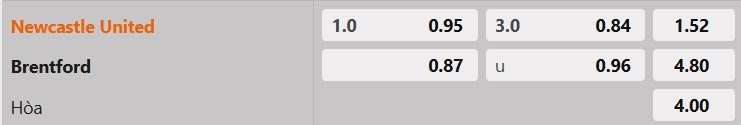 Tỷ lệ kèo Newcastle vs Brentford