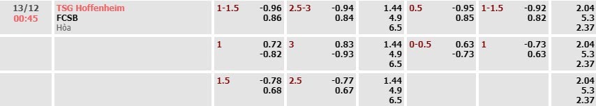 Tỷ lệ kèo UEFA Europa League Hoffenheim vs FCSB