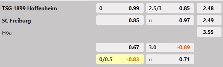 Tỷ lệ kèo Hoffenheim vs Freiburg